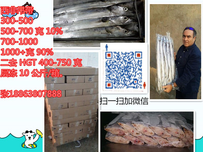 帶魚